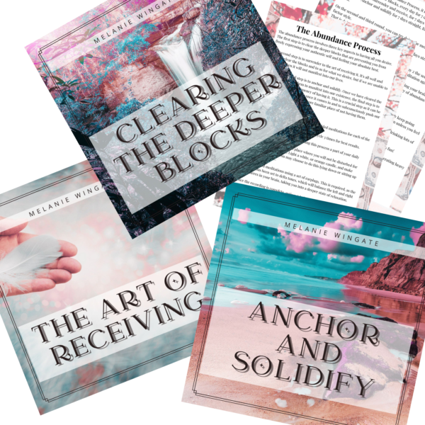 The Abundance Process Package - Image 5