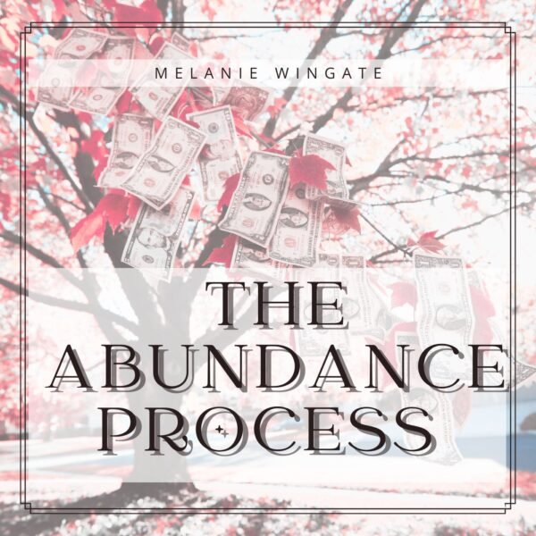 The Abundance Process Package